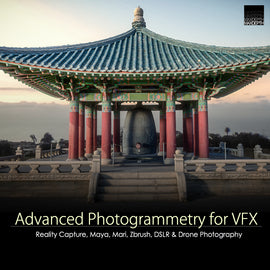 Advanced Photogrammetry for VFX